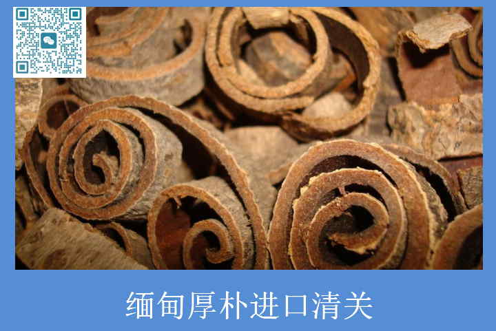 缅甸厚朴进口清关.jpg
