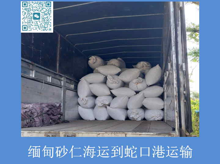 缅甸砂仁海运到蛇口港.jpg
