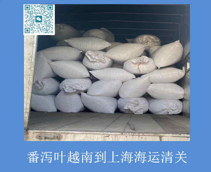 番泻叶越南到上海.jpg