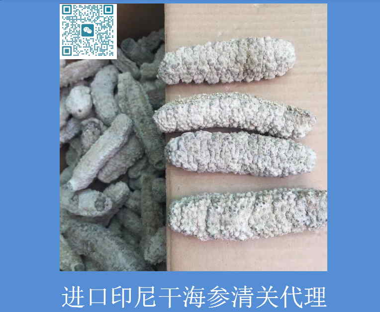 进口印尼干海参清关代理.jpg