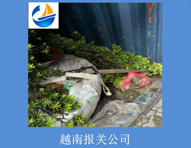 越南报关公司.jpg