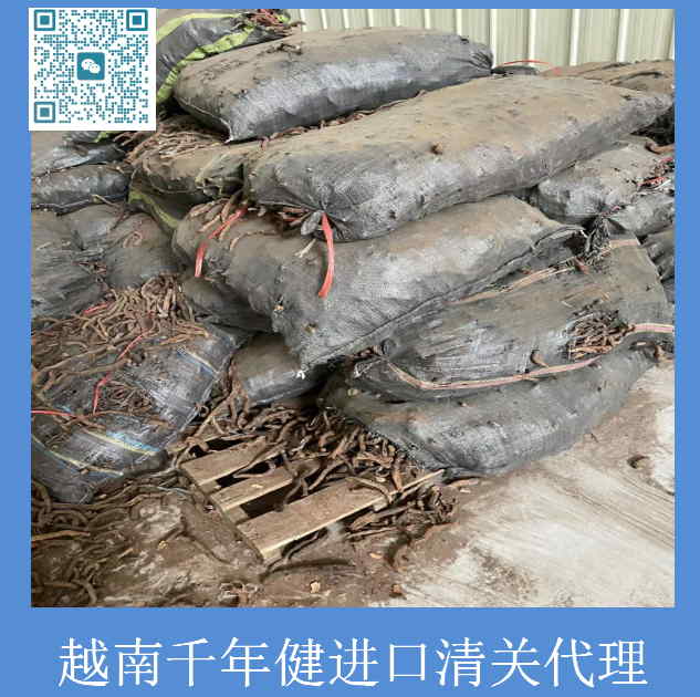 越南千年健进口清关.jpg