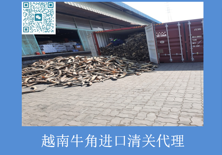 越南牛角进口清关代理.png