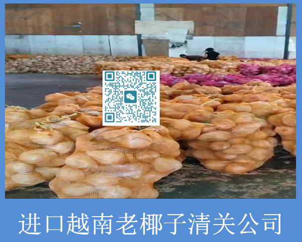 进口越南老椰子清关公司.jpg