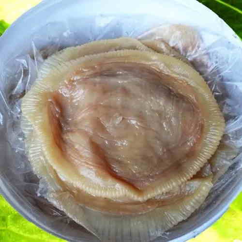 海蜇进口清关.jpg