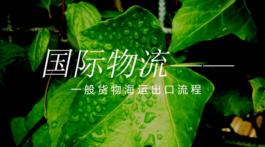 出口海运.jpg